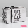 Коробка для 2 капкейков "С 23 февраля"