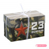 Коробка для 2 капкейков "23 февраля"